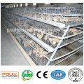 Mejor Precio Buen Servicio Pullet Chicken Cage